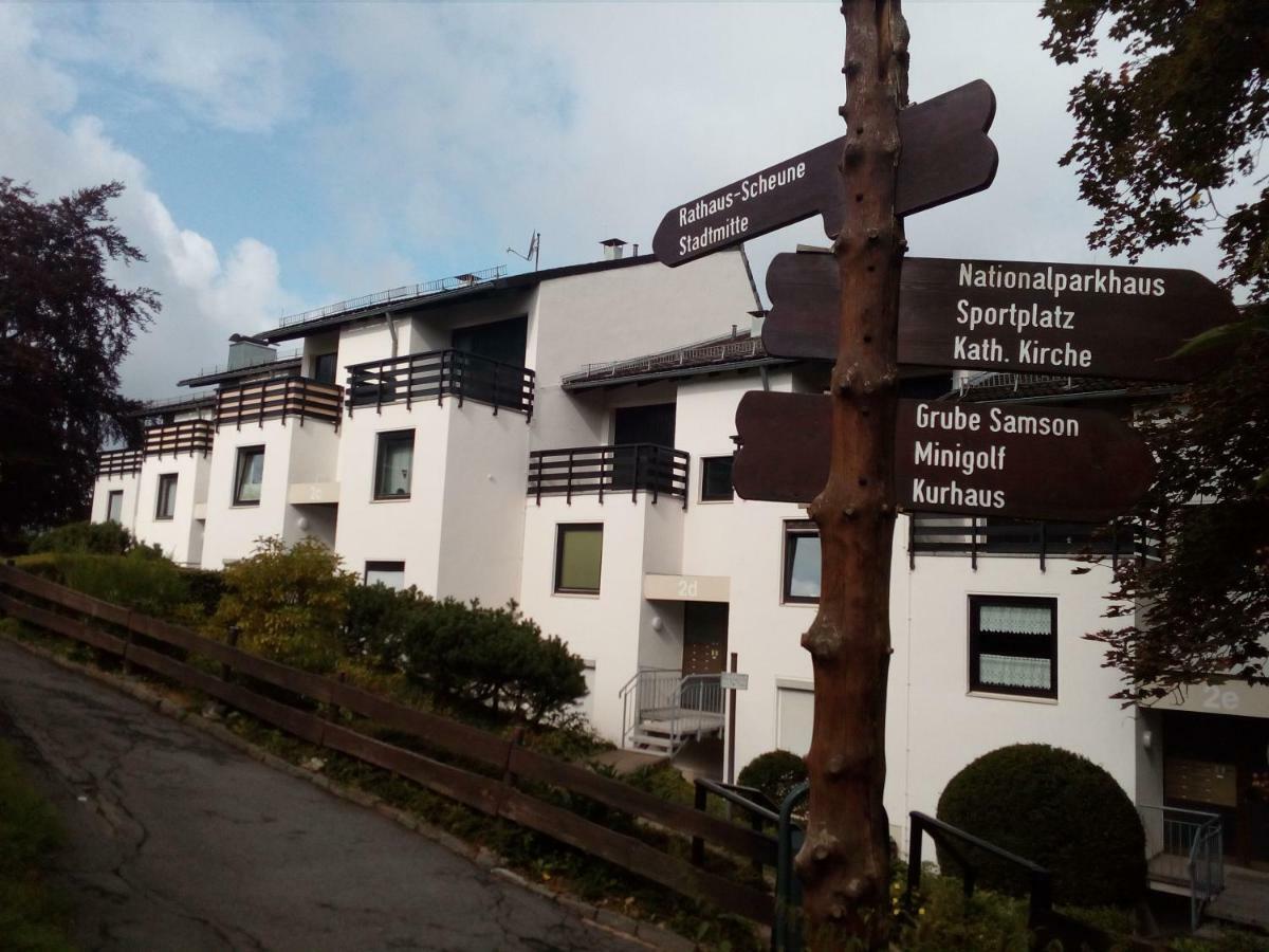Apartment Harzgruen 2 Sankt Andreasberg Zewnętrze zdjęcie